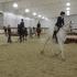 Jaeckle Centre Fall Horse Show